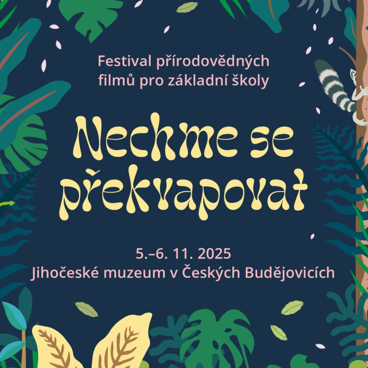 Nechme se překvapovat