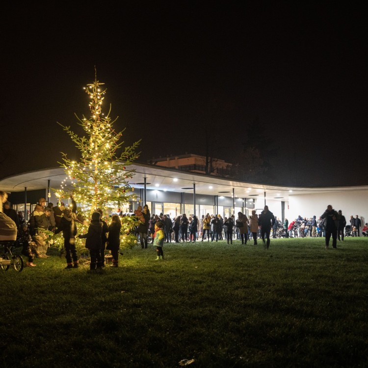 Rozsvícení vánočního stromu na Kampě 