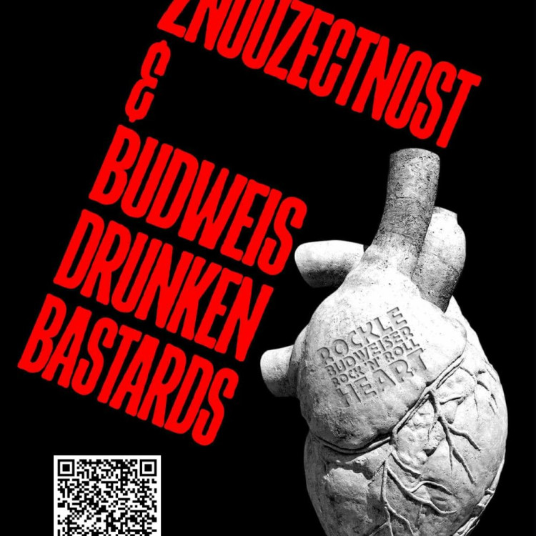 Znouzectnost v Budějovicích 