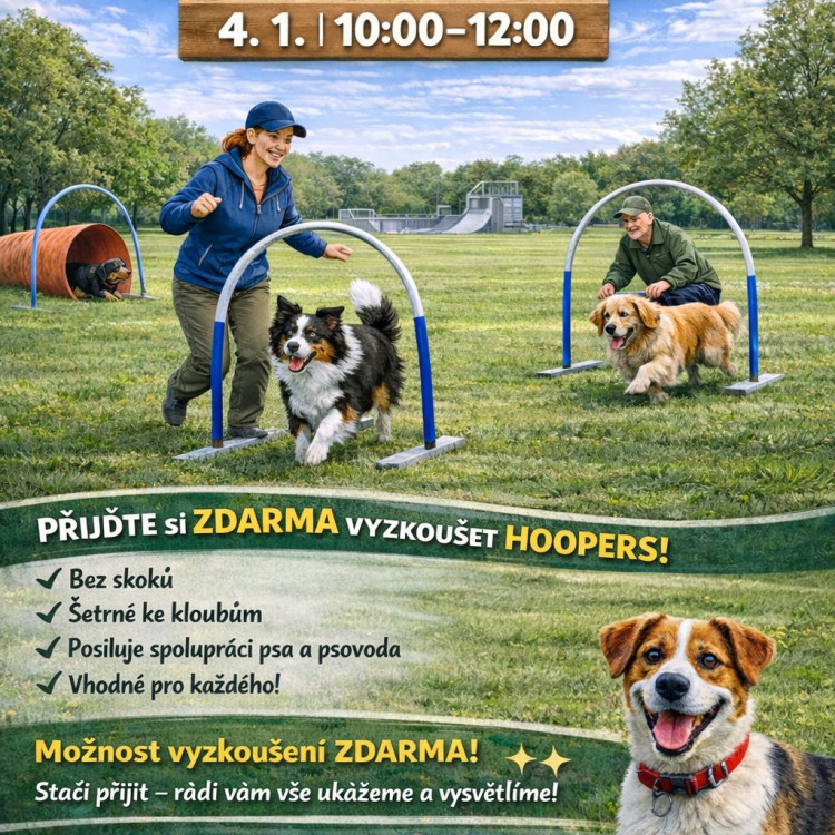 Ukázky psího sportu hoopers