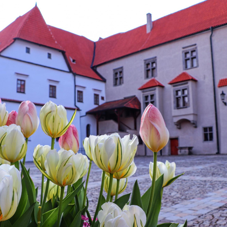 Výstava Smyslné jaro