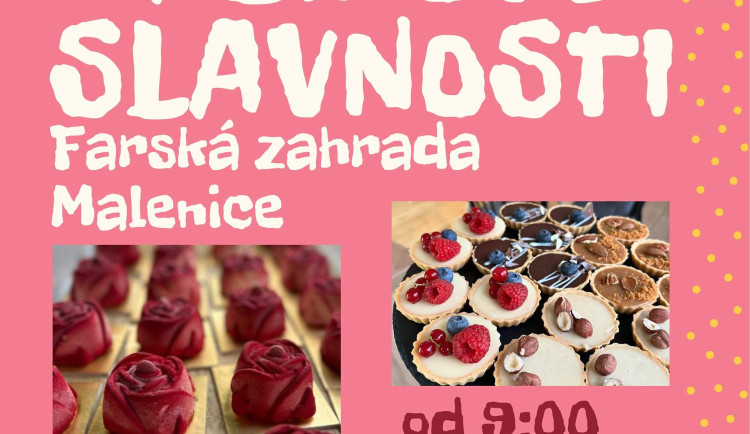 XI. Malinové slavnosti v Malenicích