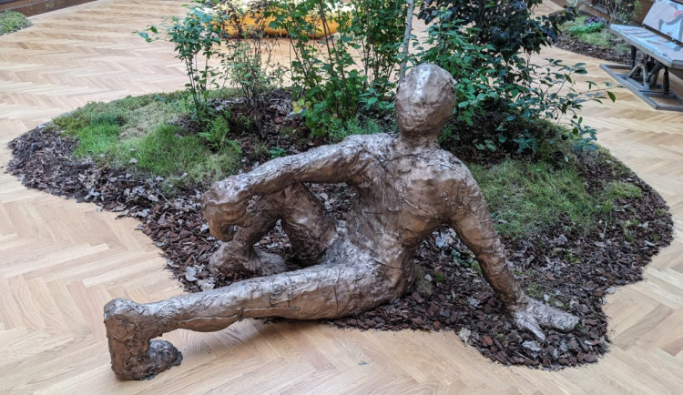 I v galerii může kvést zahrada – pozvání do Galerie Rudolfinum