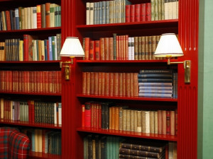 Národní knihovna připravuje digitalizaci statisíce knih, pomůže jí i Google