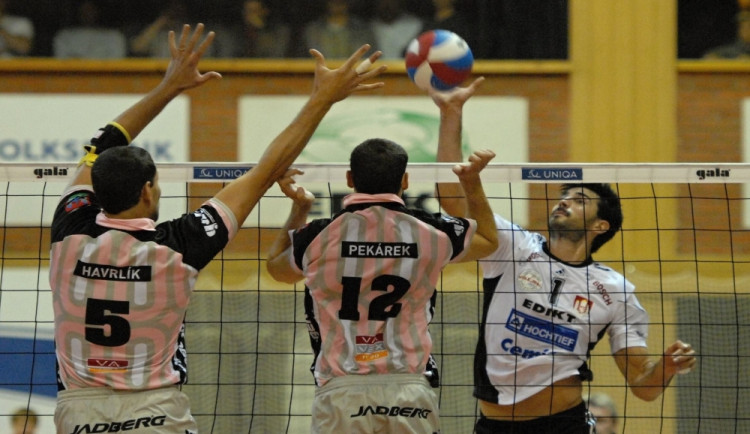 Maximo Torcello, autor František Panec