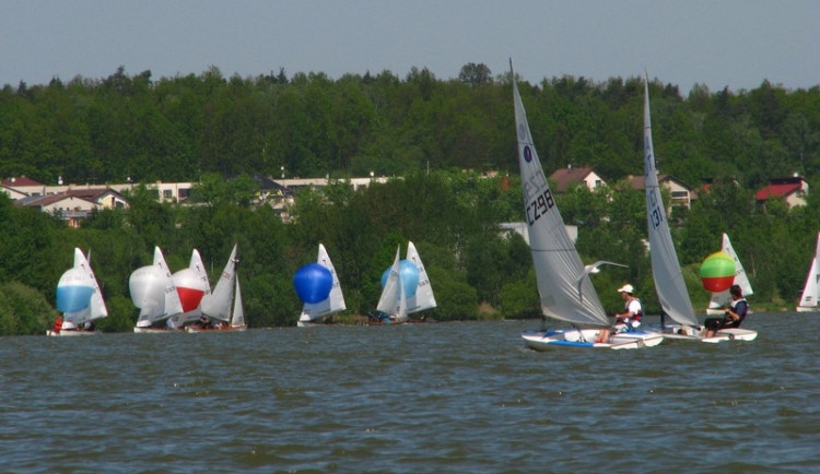 modra stuha bezdreva