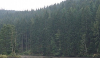 Národní Park Šumava