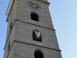 Moucha na Čeré věži1