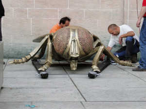 Moucha na Čeré věži2