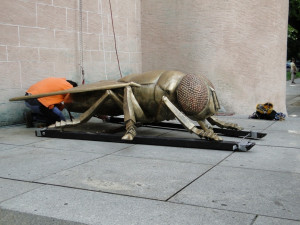 Moucha na Čeré věži3