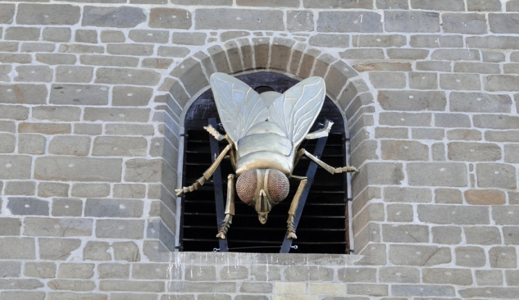 Moucha na Čeré věži