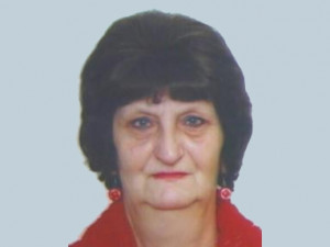 Pátrání po pohřešované ženě