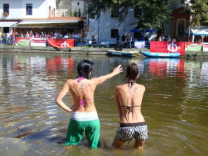 Ještěřice zkoumají terén