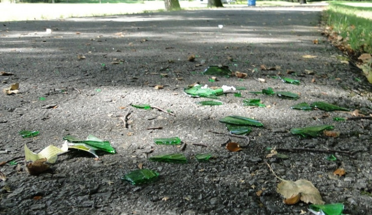 střepy ve Stromovce