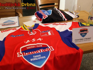 Domácí zápasy odehrají hokejisté Motoru v červených dresech