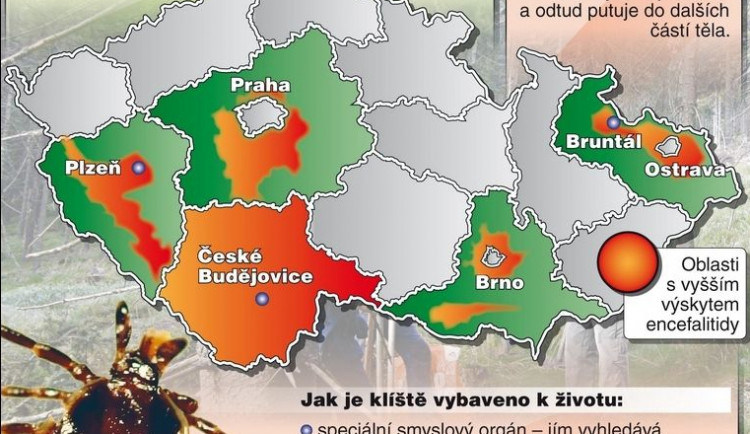 Klíšťová encefalitida