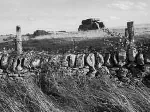 Dana Vitásková, Za kamennou zídkou 2008