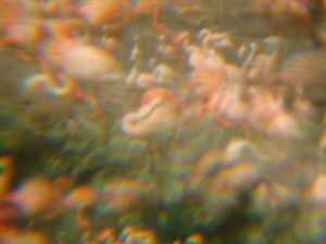 Mína Mládková, Sen tygra