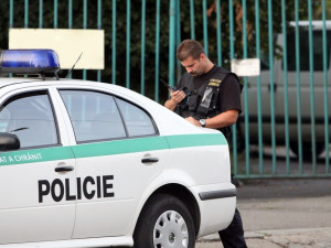 Budějce registrují oproti loňsku výrazný pokles kriminality