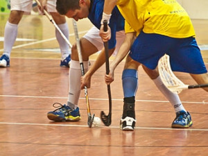 Štíři po prohře s Pelhřimovem přišli o první místo
