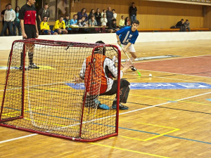 Florbalisté FBC Štíři České Budějovice vs. Pelhřimov