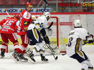 Puky létaly kolem kladenské svatyně často, v síti jich skončilo však jenom pět