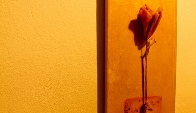 Wortnerův dům - Katarina Welmer Schnell - Plodnost