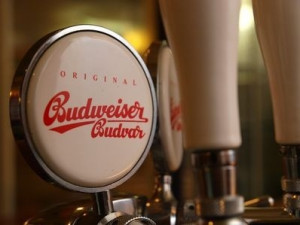 Budějovický Budvar vloni výrazně zvýšil prodej piva