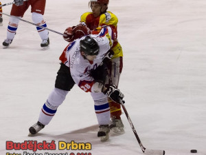 Českobudějovický Cikán zpracovávaný Marouškem