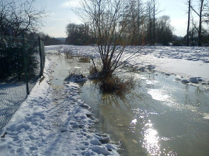 Vltava v Rožnově (14. února)