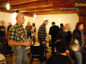 Koncert Pavla Žalmana Lohonky v Solnici