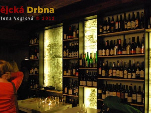 Koncert Pavla Žalmana Lohonky v Solnici