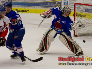 Vomelova střela vypadla Zpěvákovi z lapačky, ale jinak byl táborský brankář spolehlivý