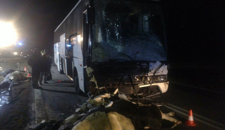 Autobus s českými lyžaři narazil do stáda krav