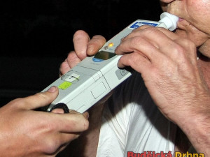 Jeden opilec z hlučné skupinky nadýchal přes čtyři promile