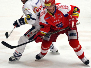 Dva zkušení borci - Aleš Kotalík a Petr Nedvěd