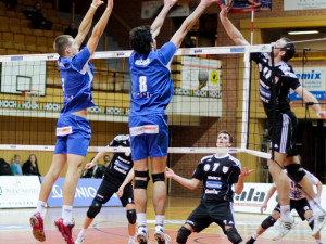 Play off volejbalistů startuje. Jihostroj čeká na úvod Brno