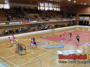 Do sportovní haly si našel cestu i přes slunečné počasí poměrně slušný počet diváků