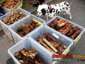 Mezinárodní výstava psů v Českých Budějovicích