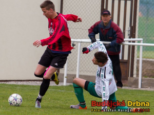 Rosůlek z Tábora obchází Loška