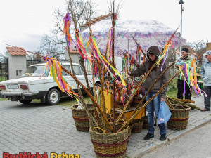 Pomlázka sem, pomlázka tam, pomlázka kam se podívám