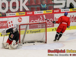 Trénink české hokejové reprezentace v Budějcích