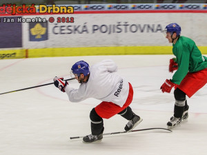 Trénink české hokejové reprezentace v Budějcích