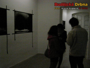 Výstava Toward the Event Horizon v budějckém Domě umění