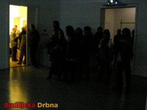 Výstava Toward the Event Horizon v budějckém Domě umění