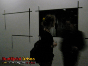 Výstava Toward the Event Horizon v budějckém Domě umění