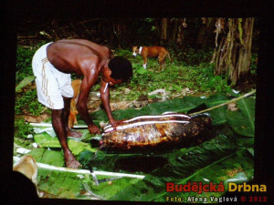 Přednáška studentů Jihočeské univerzity o expedici na Papuu-Novou Guineu
