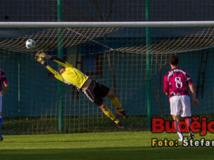 Jeden výborných zákroků brankáře Davida Brašničky