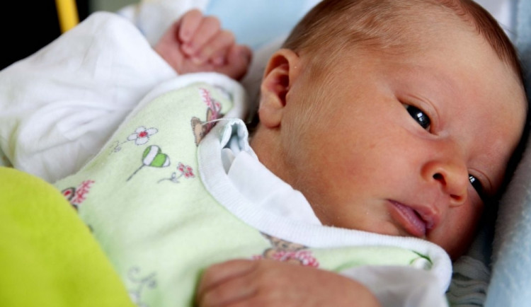 Budějcké perinatologické centrum patří mezi světovou elitu