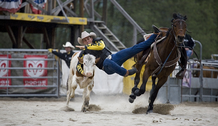 Momentka z loňské výstavy Hobby